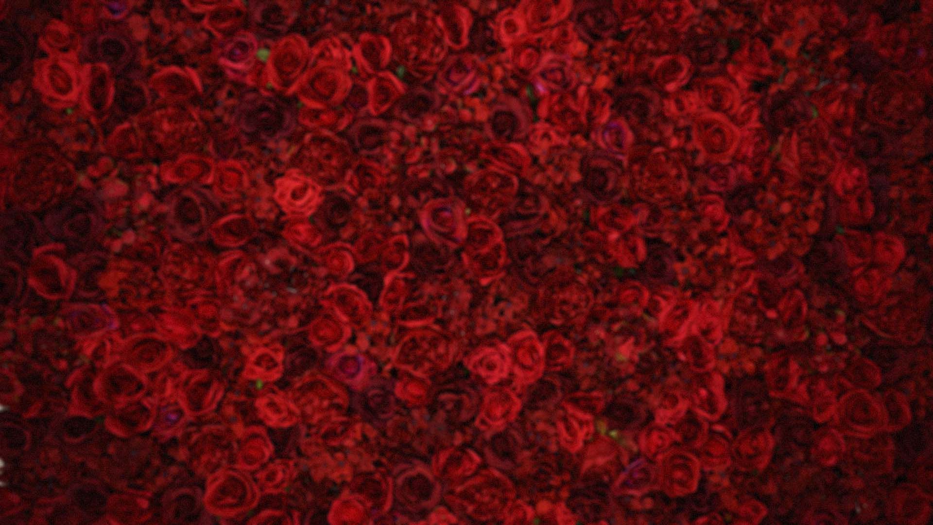 Blurred Flower Wall Background