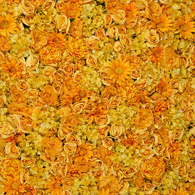 Amber Valley Flower Wall details