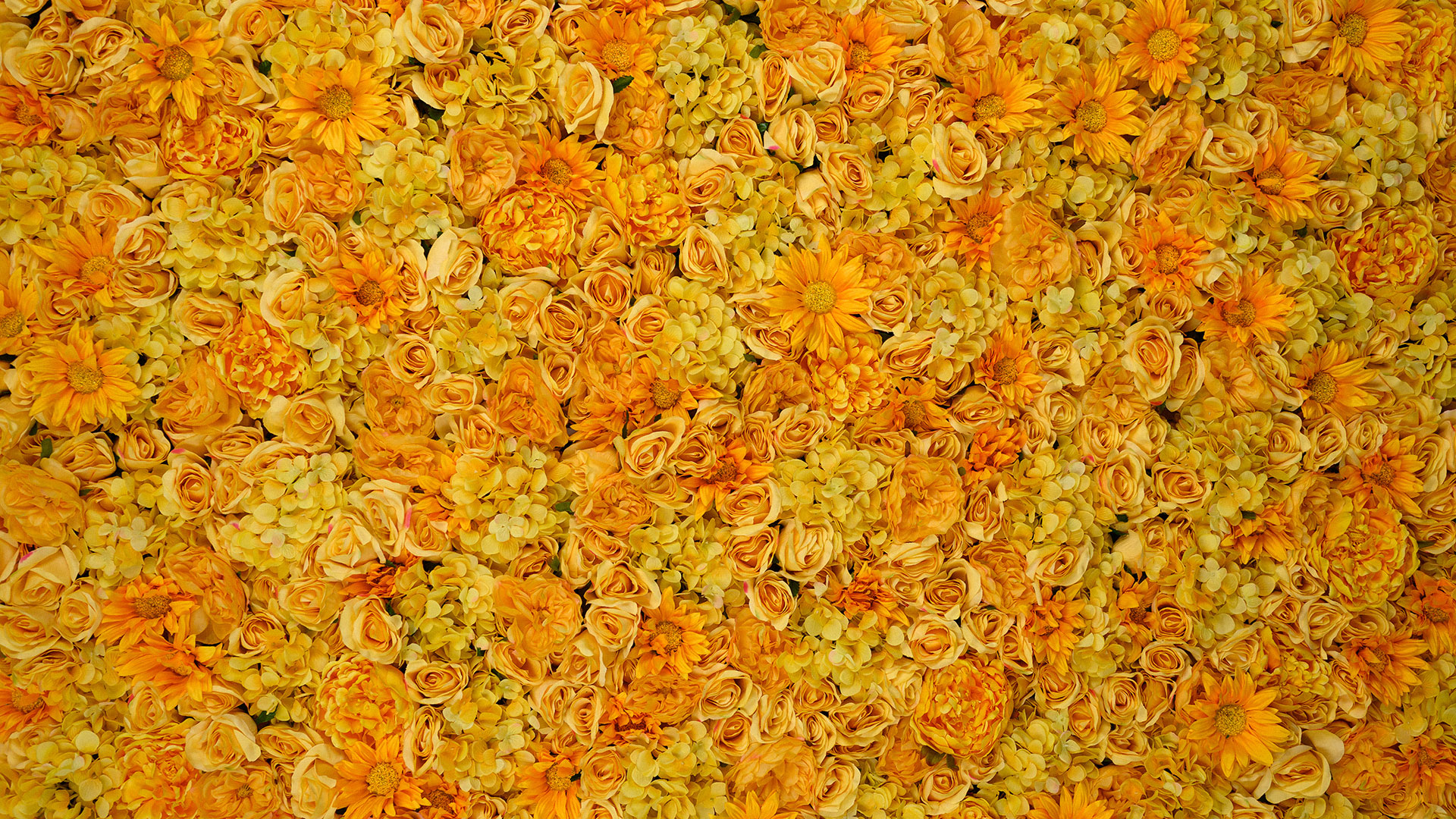 Amber Valley Flower Wall Texture