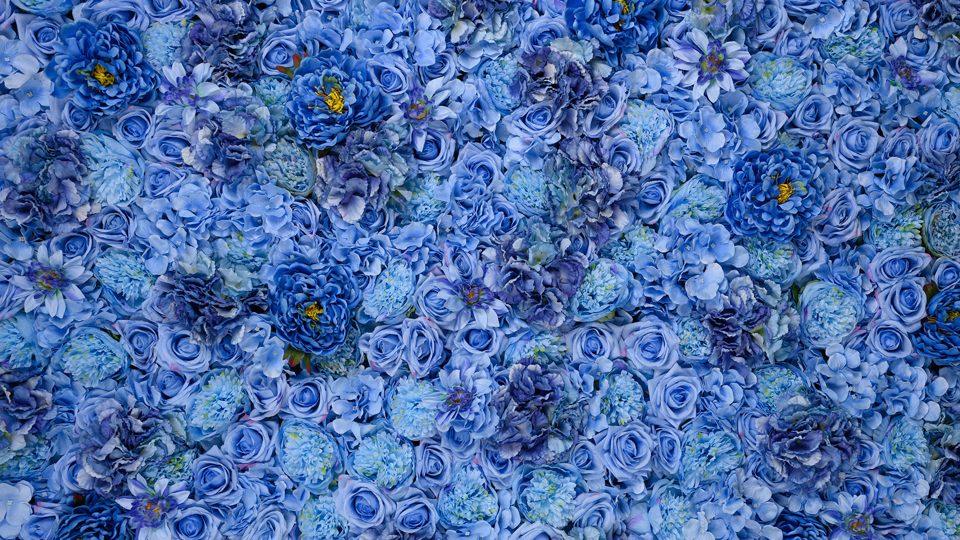 Blue Jasmine Flower Wall Texture