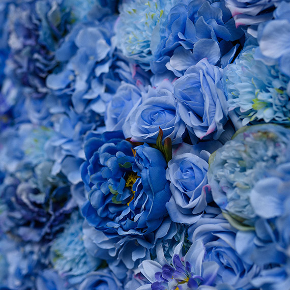 Blue Jasmine Flower Wall Details
