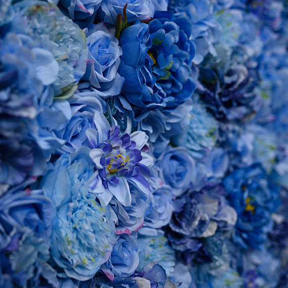 Blue Jasmine Flower Wall Details Closeup