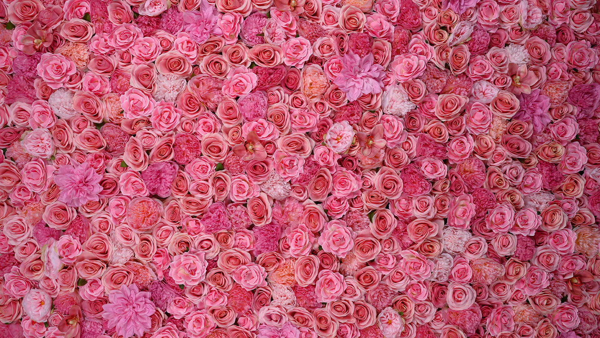 Rose Wall Texture - typikalempire