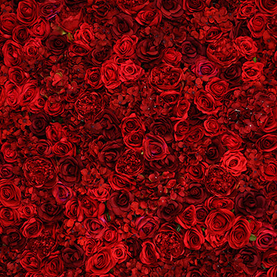 Red Velvet Flower Wall Details